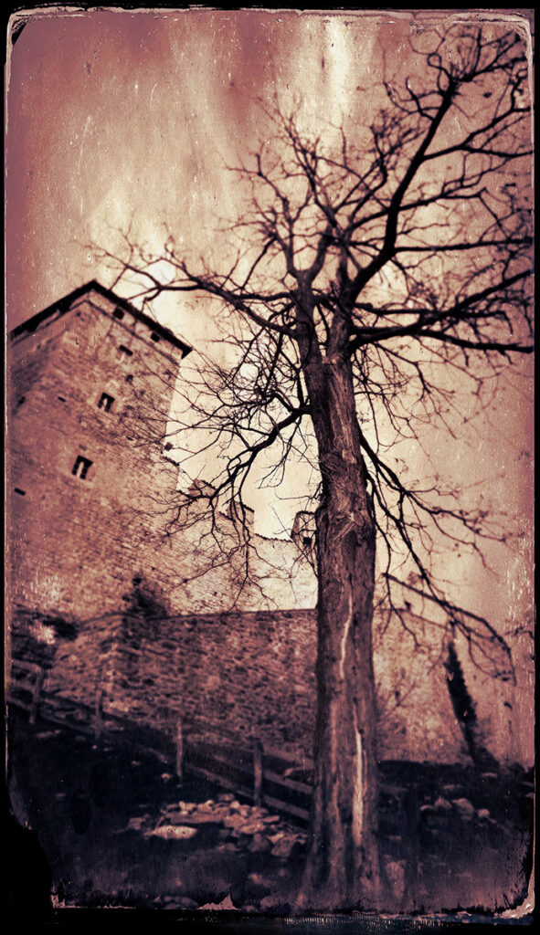 Veins of Light: Photographs by Andrew West 319 Wapping StreetFrankfort, KY 40601